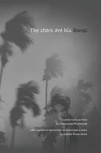 Cover image for The Stars Are His Bones