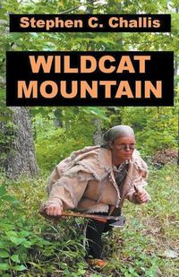 Cover image for Wildcat Mountain