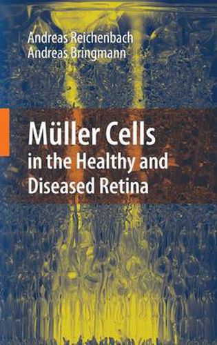 Cover image for Muller Cells in the Healthy and Diseased Retina