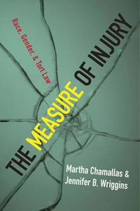 Cover image for The Measure of Injury: Race, Gender, and Tort Law