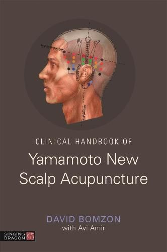 Cover image for Clinical Handbook of Yamamoto New Scalp Acupuncture