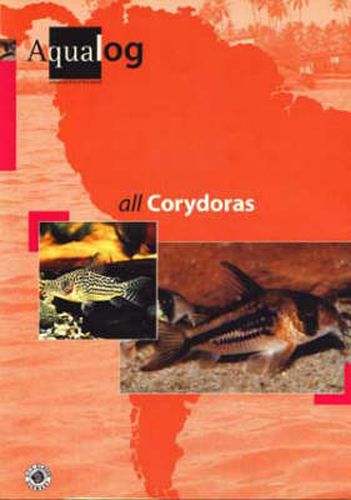 Cover image for Aqualog All Corydoras