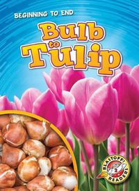 Cover image for Bulb To Tulip