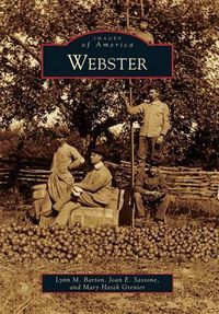 Cover image for Webster