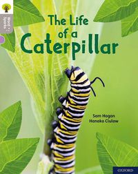 Cover image for Oxford Reading Tree Word Sparks: Level 1: The Life of a Caterpillar