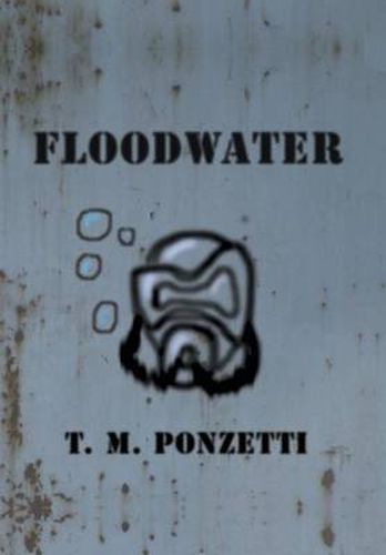 Cover image for Floodwater