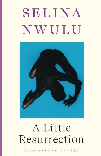 Cover image for A Little Resurrection