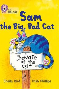 Cover image for Sam and the Big Bad Cat: Band 03/Yellow