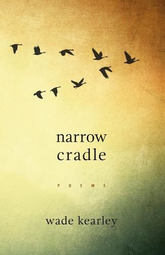 Cover image for Narrow Cradle