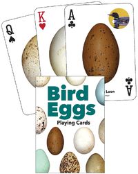 Cover image for Bird Eggs Playing Cards