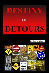 Cover image for Destiny of Detours