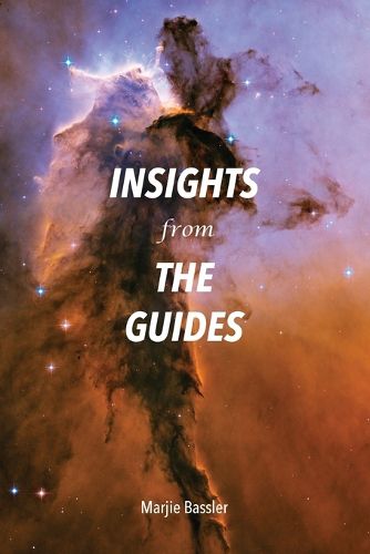 Cover image for Insights from The Guides