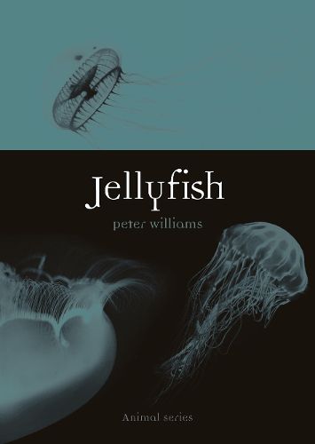 Cover image for Jellyfish