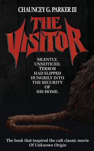 Cover image for The Visitor