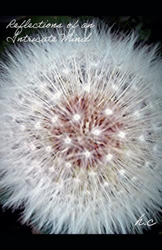 Cover image for Reflections of an Intricate Mind