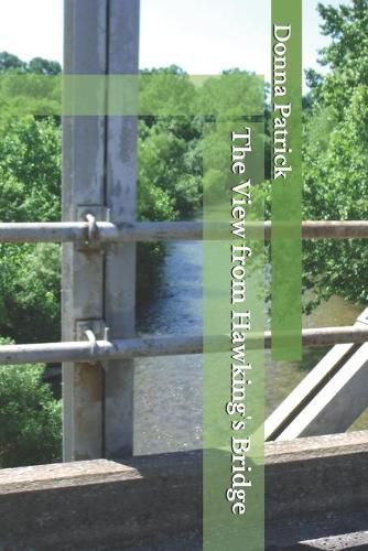 Cover image for The View from Hawking's Bridge