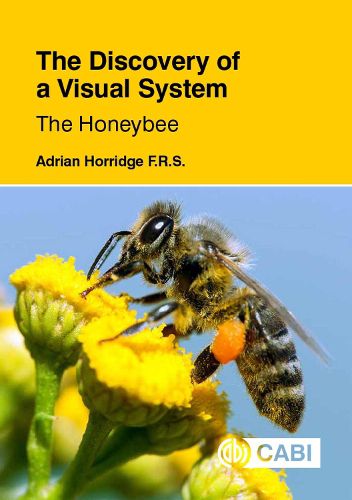 Cover image for The Discovery of a Visual System - The Honeybee