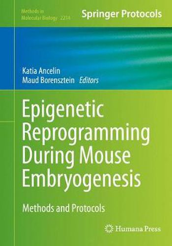 Cover image for Epigenetic Reprogramming During Mouse Embryogenesis: Methods and Protocols