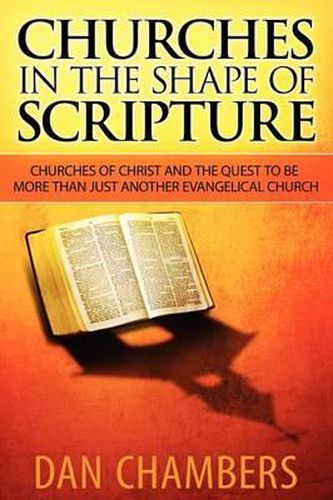 Cover image for Churches in the Shape of Scripture