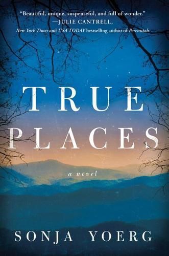 Cover image for True Places: A Novel