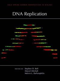 Cover image for DNA Replication