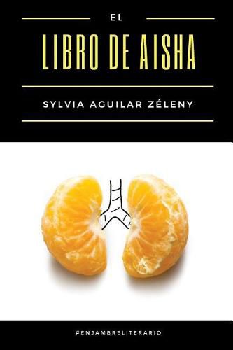 Cover image for El libro de Aisha