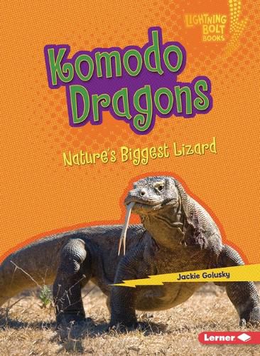 Cover image for Komodo Dragons