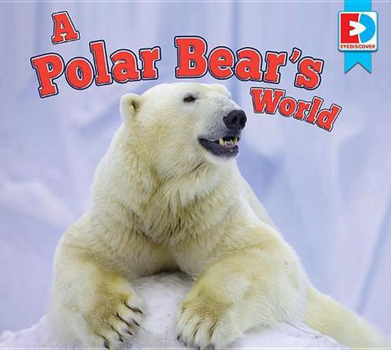 A Polar Bear's World