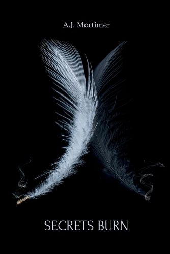 Cover image for Secrets Burn