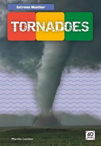 Cover image for Tornadoes