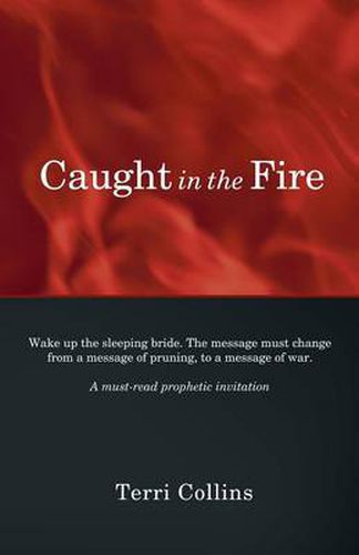 Cover image for Caught in the Fire