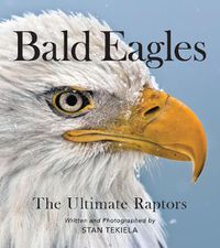 Cover image for Bald Eagles: The Ultimate Raptors