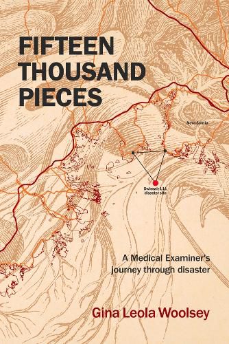 Cover image for Fifteen Thousand Pieces