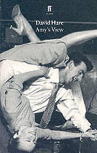 Cover image for Amy's View