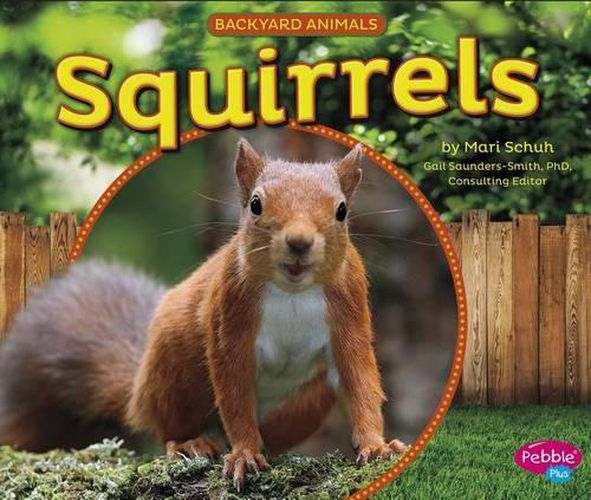 Cover image for Squirrels