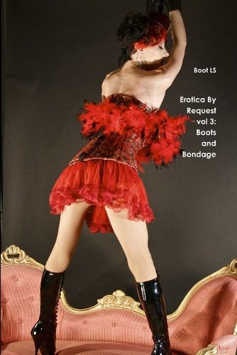 Cover image for Erotica By Request vol 3