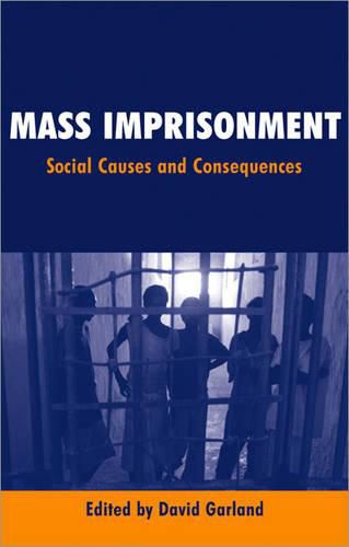 Cover image for Mass Imprisonment: Social Causes and Consequences