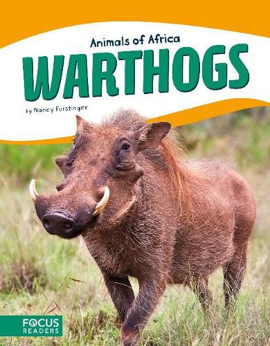 Animals of Africa: Warthogs