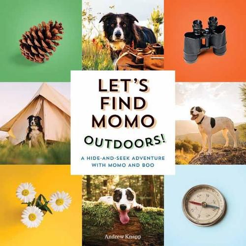 Cover image for Let's Find Momo Outdoors!: A Hide and Seek Adventure with Momo and Boo