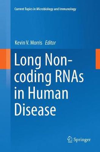 Cover image for Long Non-coding RNAs in Human Disease