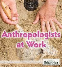 Cover image for Anthropologists at Work