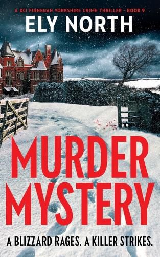 Cover image for Murder Mystery