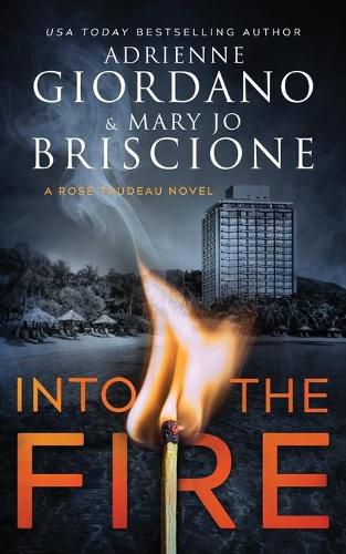 Cover image for Into The Fire: A Gripping Amateur Sleuth Mystery