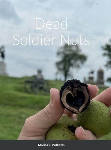 Cover image for Dead Soldier Nuts