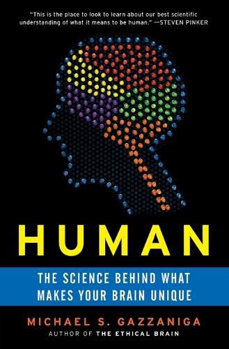 Cover image for Human: The Science Behind What Makes Your Brain Unique