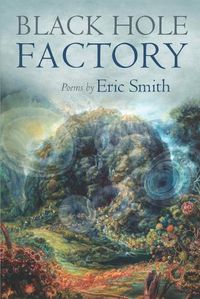 Cover image for Black Hole Factory