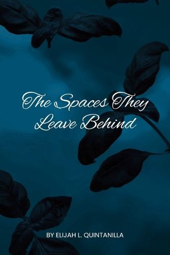 Cover image for The Spaces They Leave Behind