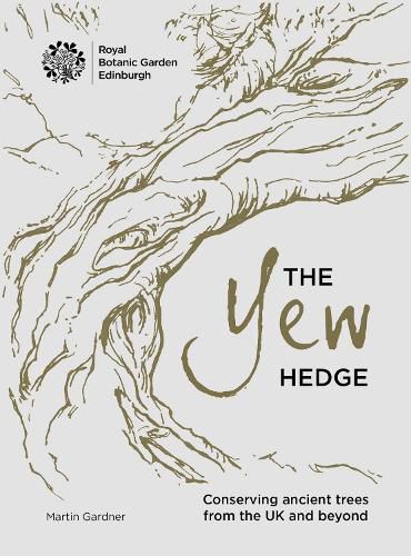 The Yew Hedge