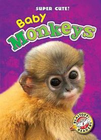 Cover image for Baby Monkeys