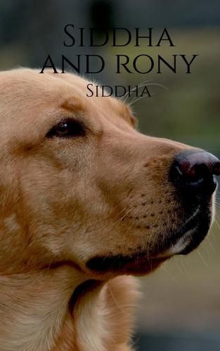 Cover image for Siddha and Rony